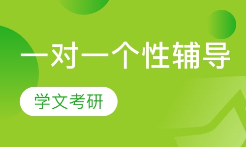 一对一个性辅导