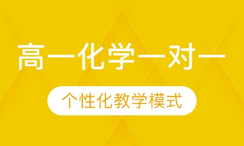 高一化学一对一