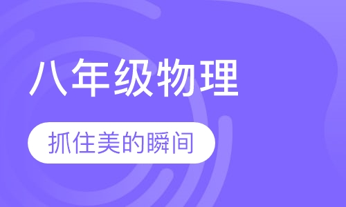 初高中精品小班八年级物理