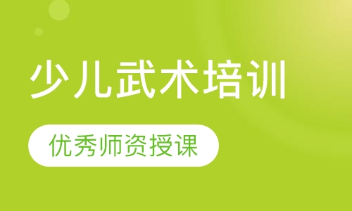 少儿武术培训