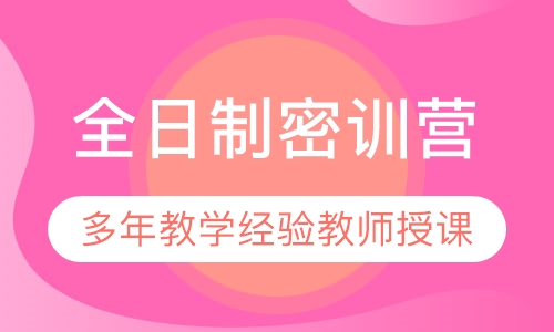 全日制密训营
