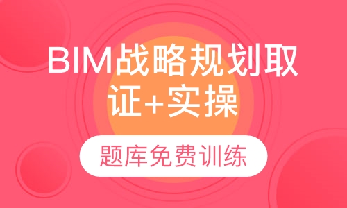BIM战略规划 （取证+实操班）