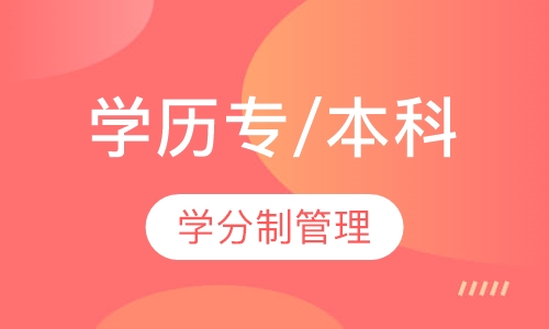 学历专/本科