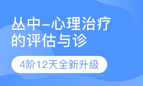 2020年精神分析—心理治疗的评估与诊断