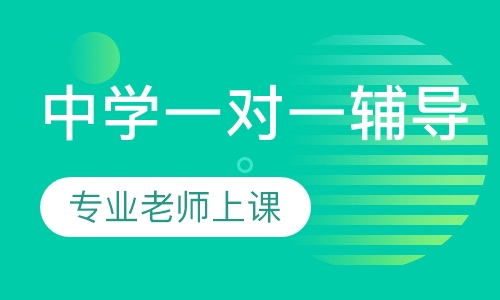 中学一对一辅导