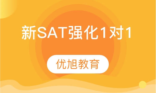 新SAT强化1对1