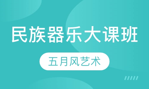 民族器乐大课班