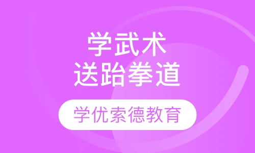 学武术，送跆拳道