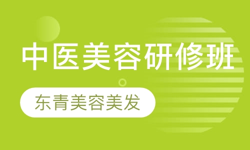 中医研修班