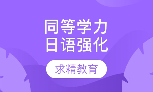 同等学力日语 强化班
