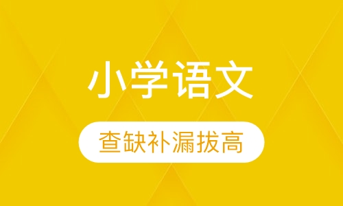 小学语文辅导小班