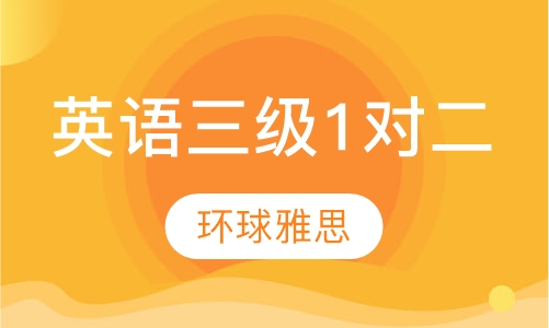 剑桥少儿英语三级1对二