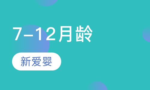 7-12月龄课程