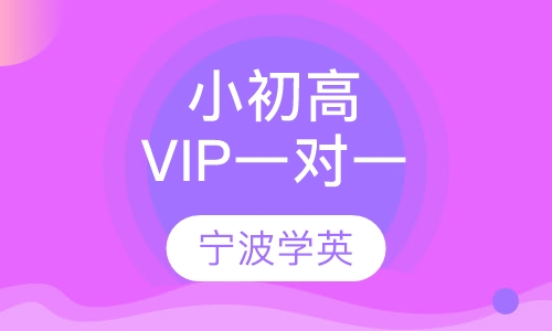 小初高VIP 一对一