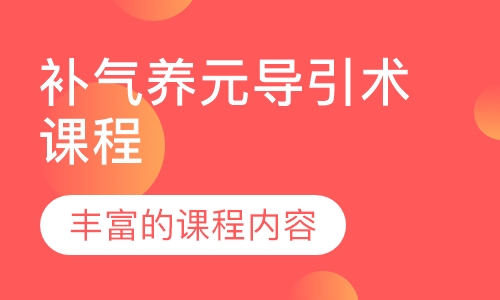 补气养元导引术课程