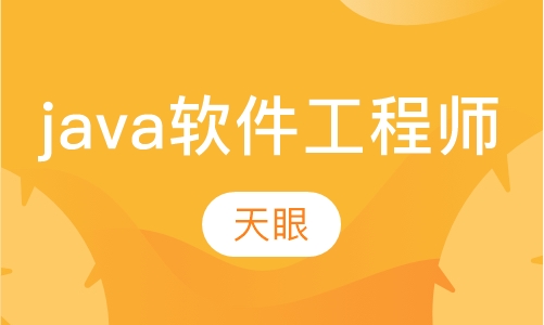 java国际软件工程师
