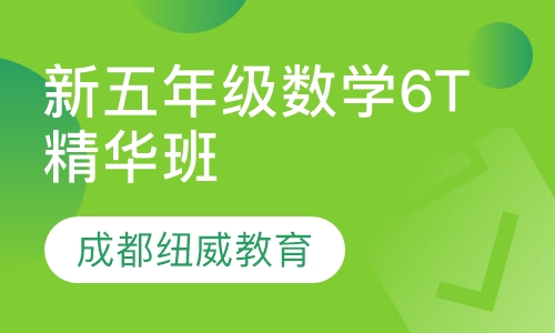 新五年级数学6T精华班
