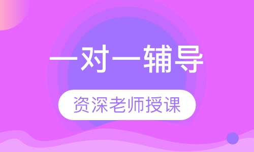 一对一辅导