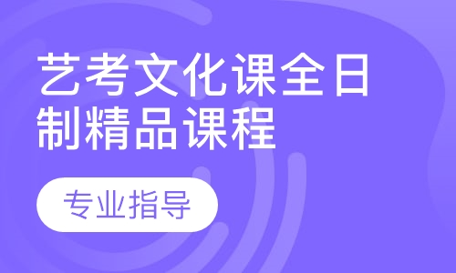 艺考文化课全日制精品课程