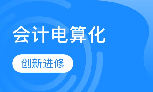 会计电算化