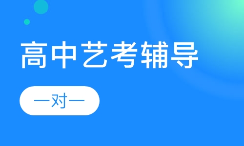 高中一对一艺考辅导