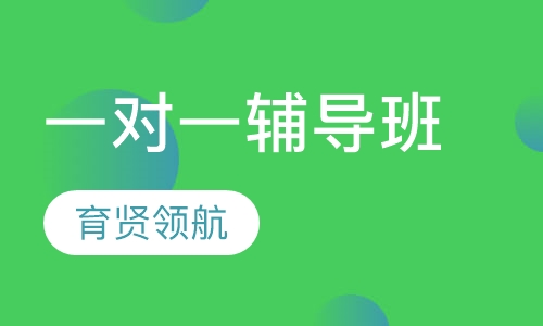 一对一个性化辅导班