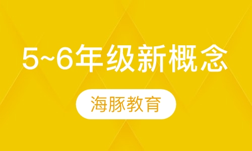 小学5~6年级新概念