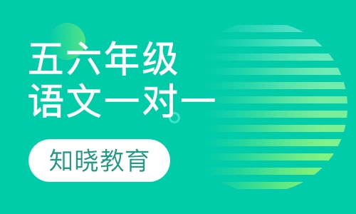 小学五六年级语文一对一辅导课程