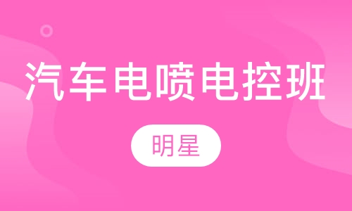 汽车电喷电控专业班