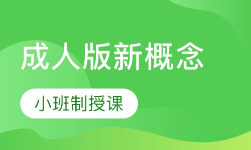 成人版新概念