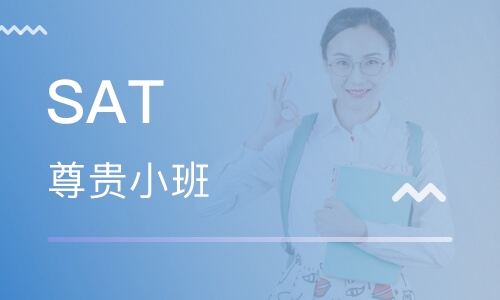 SAT 3-5人尊贵小班系列