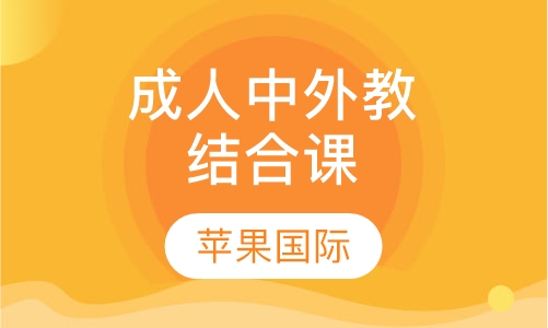 成人中外教结合课