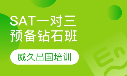 SAT一对三预备钻石班