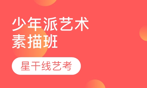 少年派艺术素描班