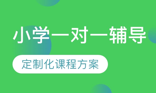 小学VIP一对一辅导