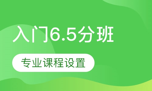 雅思入门6.5分班（8人）