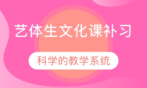 艺体生文化课补习