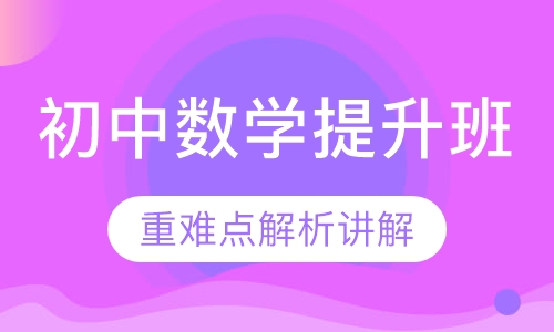 初中数学课程提升班