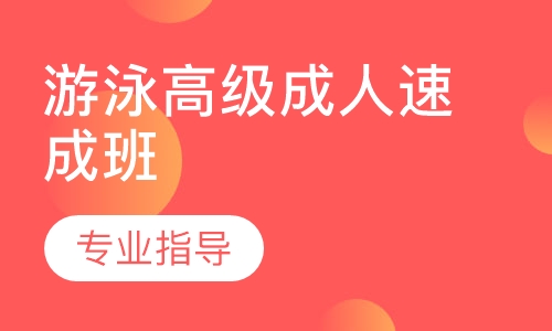 游泳高级成人速成班