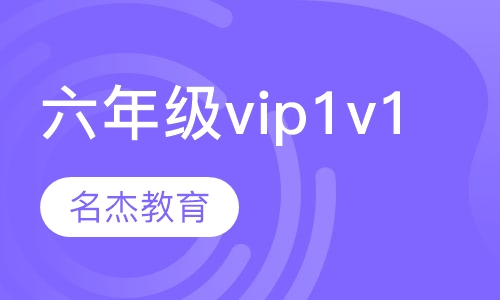 六年级vip1v1