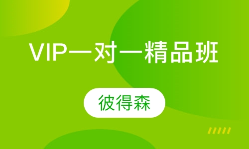 VIP一对一精品班