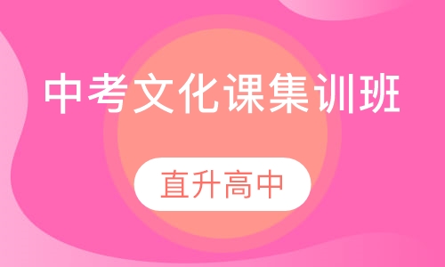 中考文化课集训班
