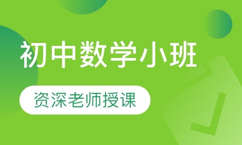 初中数学小班