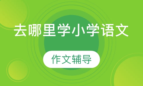 去哪里学小学语文