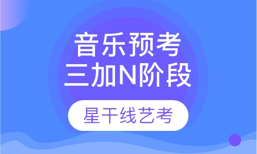 音乐专业周末预考三加N阶段班