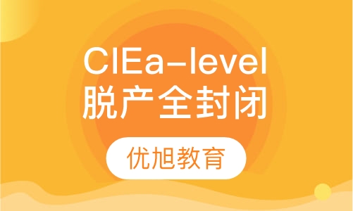 CIE a-level脱产全封闭一对一会计类组合2