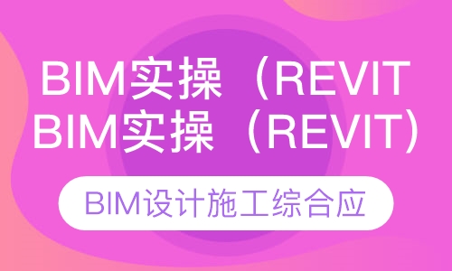 BIM实操