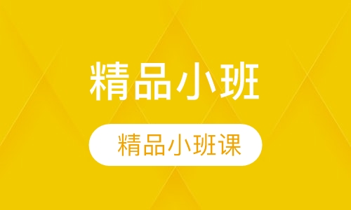 初中化学精品小班