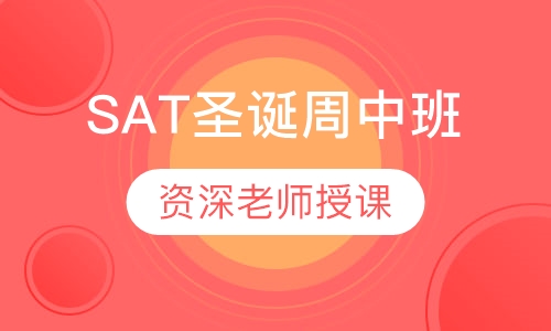 SAT圣诞周中班