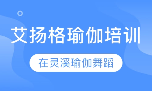 艾扬格瑜伽培训